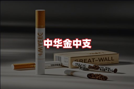中华金中支
